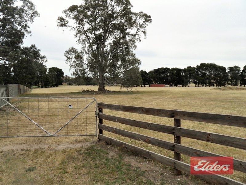 Photo - 558 Balmoral Road, Cockatoo Valley SA 5351 - Image 2