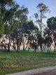 Photo - 558 Cooraminning Road, Dumberning WA 6312 - Image 17