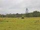 Photo - 558 Malar Road, Booie QLD 4610 - Image 23