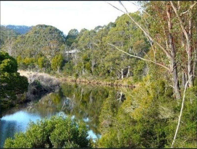 Photo - 558 Upper Scamander Road, Upper Scamander TAS 7215 - Image 17