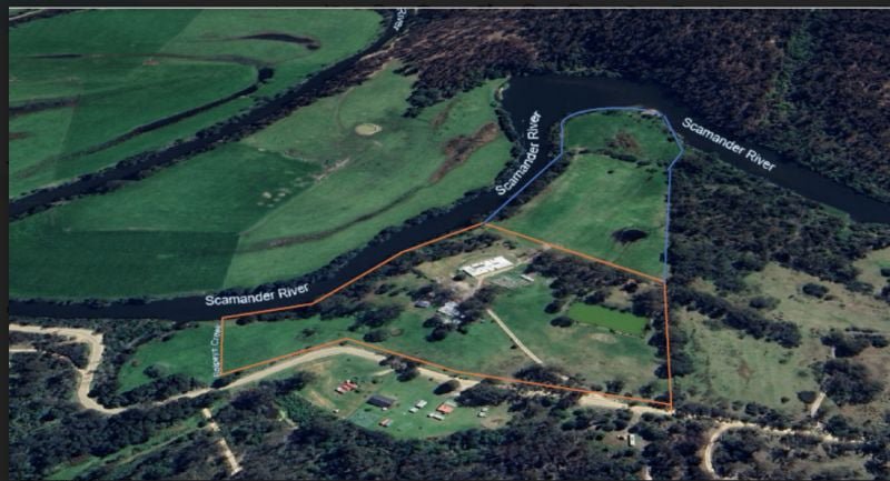 Photo - 558 Upper Scamander Road, Upper Scamander TAS 7215 - Image 18