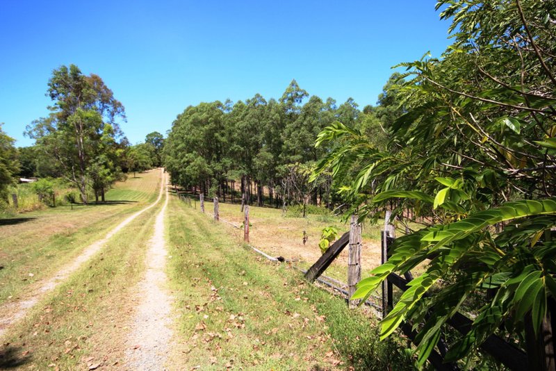 Photo - 559 Woondum Rd , Mothar Mountain QLD 4570 - Image 16