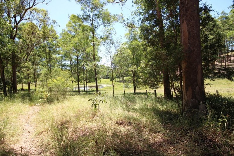 Photo - 559 Woondum Rd , Mothar Mountain QLD 4570 - Image 21