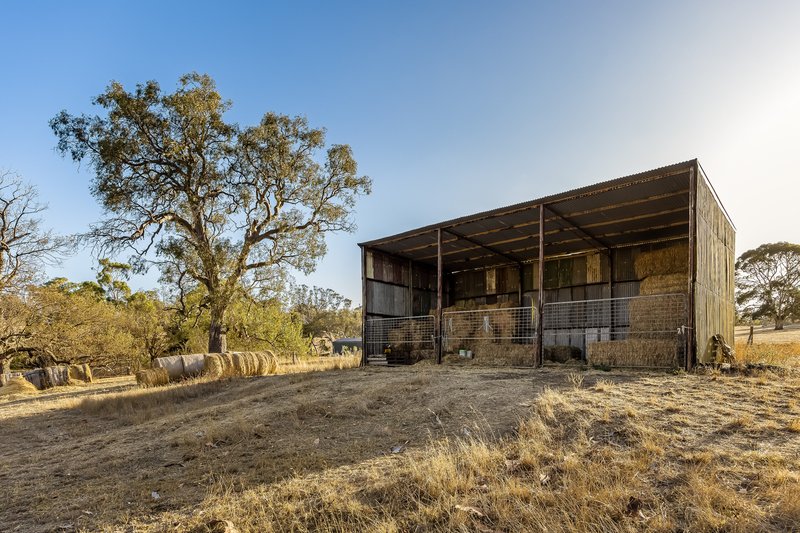 Photo - 55A Stirling Hill Road, Gemmells SA 5255 - Image 29