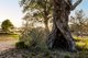 Photo - 55A Stirling Hill Road, Gemmells SA 5255 - Image 31