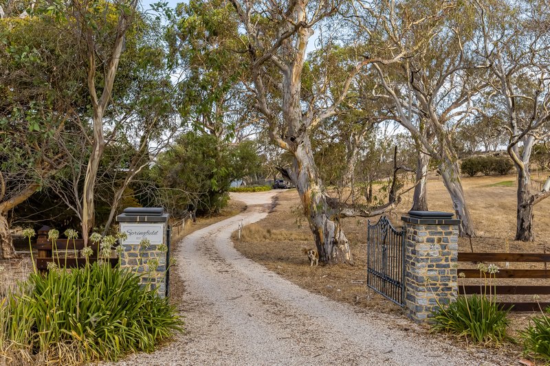 Photo - 55A Stirling Hill Road, Gemmells SA 5255 - Image 34