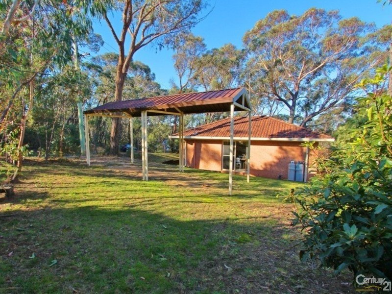 Photo - 56 Banksia Road, Wentworth Falls NSW 2782 - Image 6