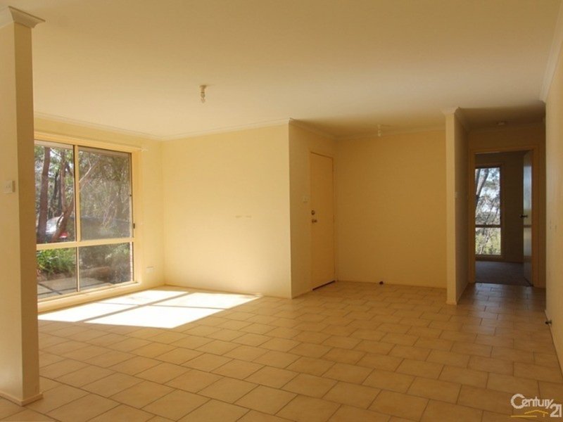 Photo - 56 Banksia Road, Wentworth Falls NSW 2782 - Image 7