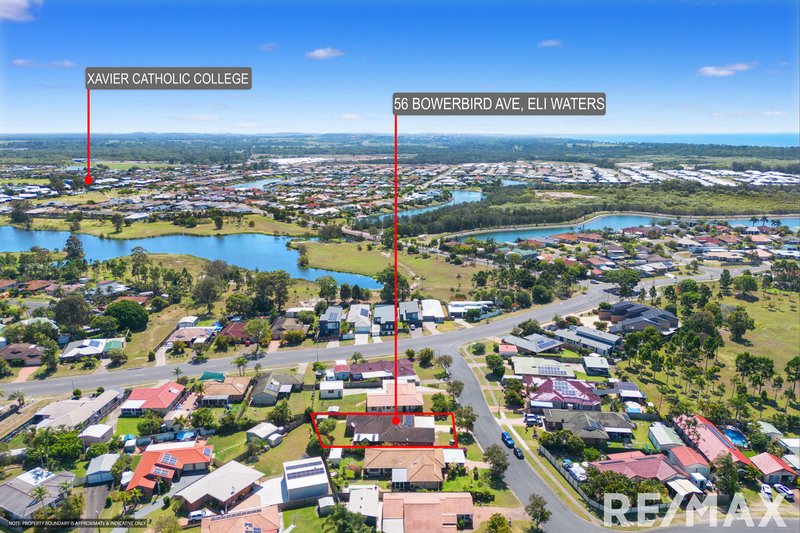 56 Bowerbird Avenue, Eli Waters QLD 4655