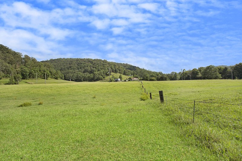 Photo - 56 Brush Creek Road, Yarramalong NSW 2259 - Image 23