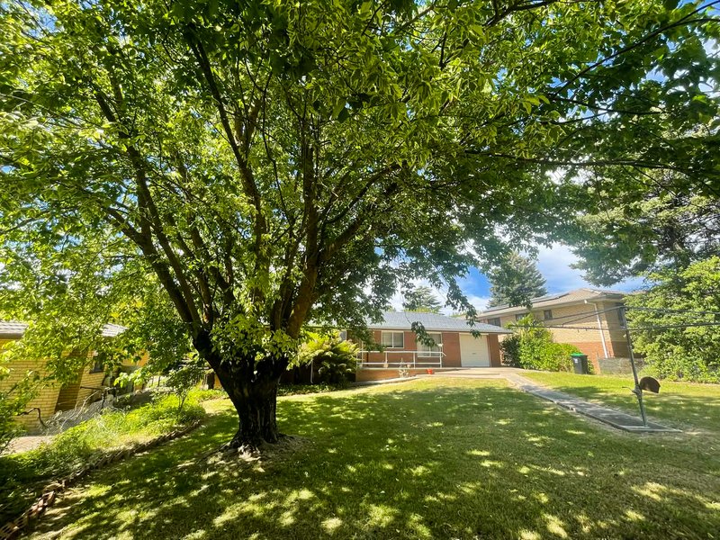 Photo - 56 Clara Street, Tumbarumba NSW 2653 - Image 19