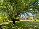 Photo - 56 Clara Street, Tumbarumba NSW 2653 - Image 19