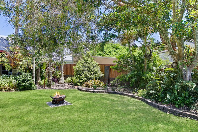 Photo - 56 Clematis Court, Marcoola QLD 4564 - Image 6