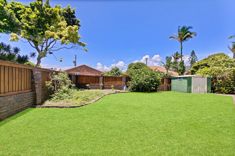 Photo - 56 Clematis Court, Marcoola QLD 4564 - Image 7