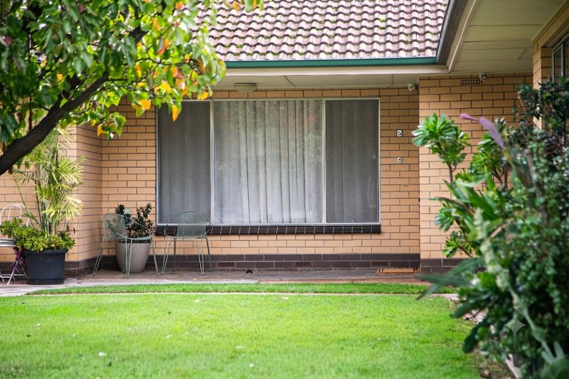 Photo - 5/6 Clifton Street, Hawthorn SA 5062 - Image 1