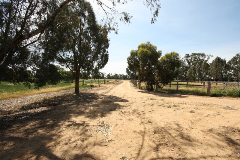 Photo - 56 Cohen Road, Rochester VIC 3561 - Image 15