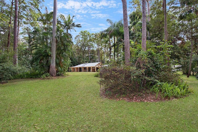 Photo - 56 De Zen Road, Palmview QLD 4553 - Image 9