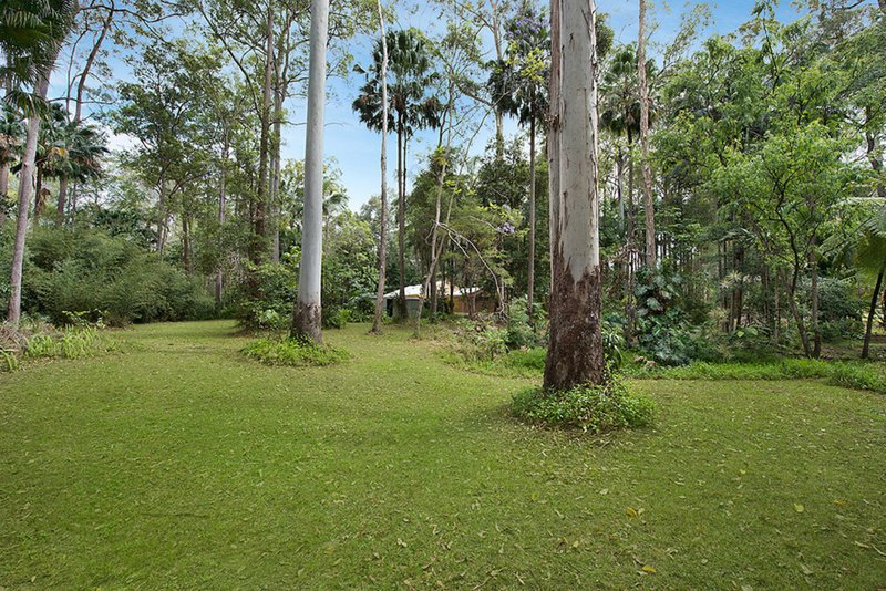 Photo - 56 De Zen Road, Palmview QLD 4553 - Image 10