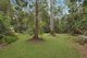 Photo - 56 De Zen Road, Palmview QLD 4553 - Image 11