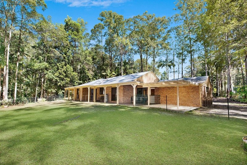 Photo - 56 De Zen Road, Palmview QLD 4553 - Image 6