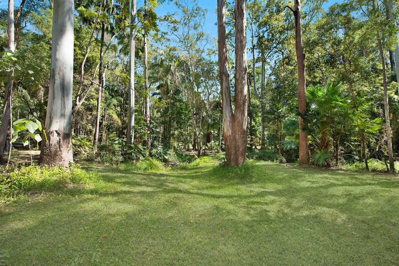 Photo - 56 De Zen Road, Palmview QLD 4553 - Image 15