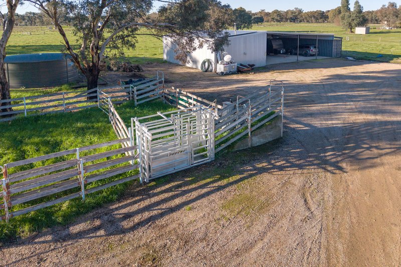 Photo - 56 Delloro Road, Wangaratta South VIC 3678 - Image 28