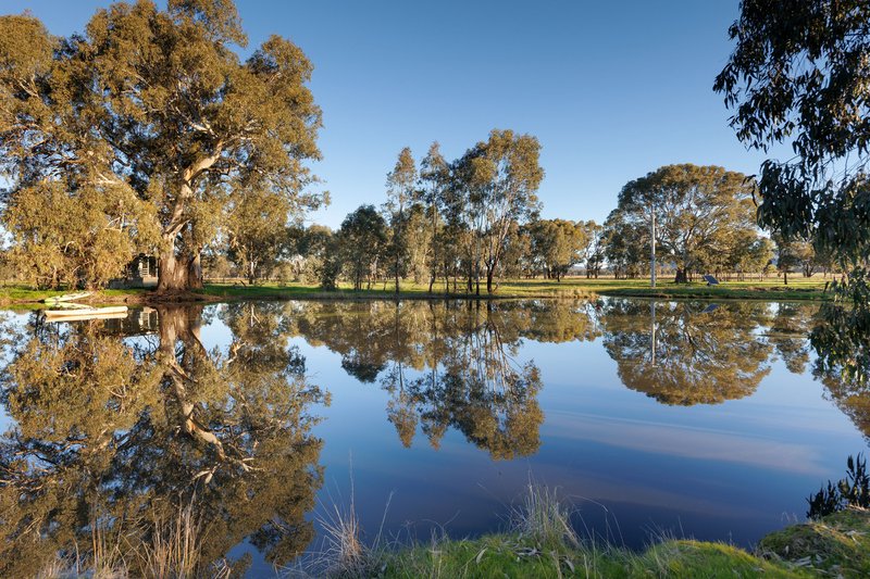 Photo - 56 Delloro Road, Wangaratta South VIC 3678 - Image 30