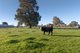 Photo - 56 Delloro Road, Wangaratta South VIC 3678 - Image 34