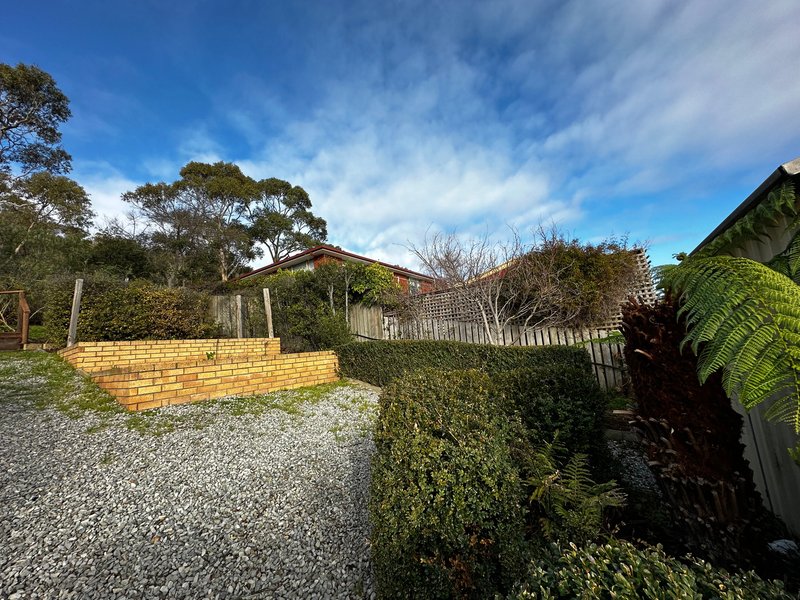 Photo - 56 Derwent Avenue, Geilston Bay TAS 7015 - Image 24