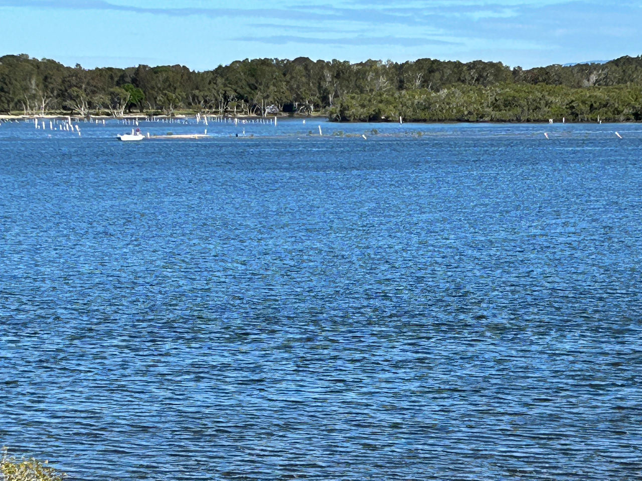 3-bedroom house at 56 DIAMANTINA CIRCUIT, Harrington NSW 2427, Mid-Coast, New South Wales