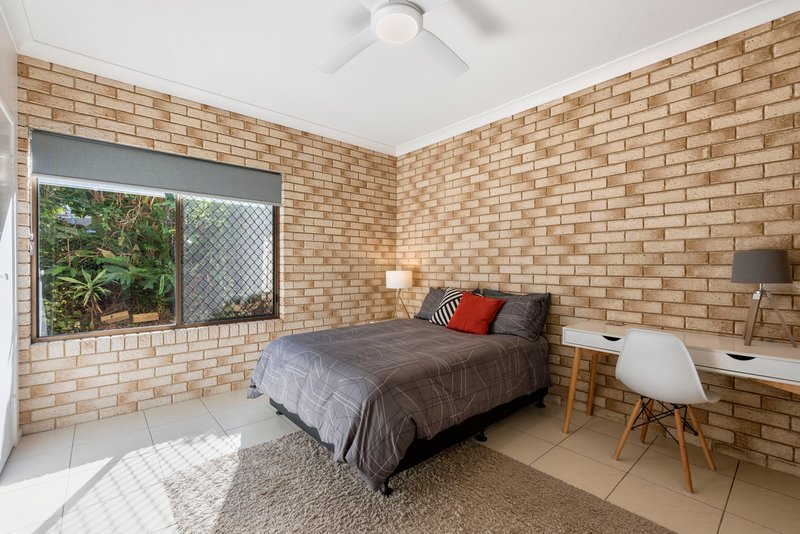 Photo - 56 Gilbert Street, Buderim QLD 4556 - Image 6