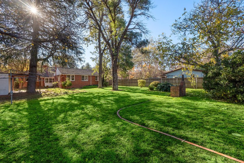 Photo - 56 Girrahween Street, Braddon ACT 2612 - Image 16