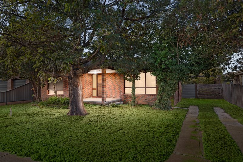 Photo - 56 Greaves Street South, Werribee VIC 3030 - Image 1