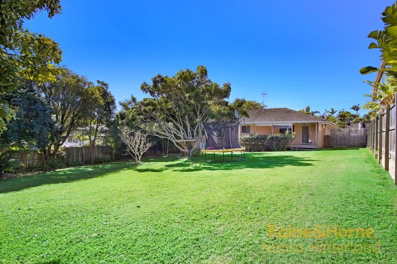 Photo - 56 Hendry Street, Tewantin QLD 4565 - Image 2