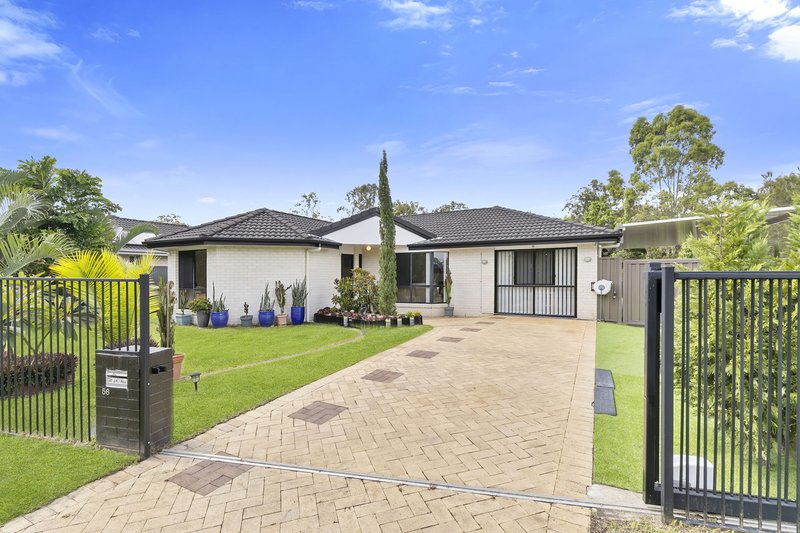 Photo - 56 Jensen Road, Caboolture QLD 4510 - Image 5