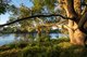 Photo - 56 Kalua Drive, Chittaway Bay NSW 2261 - Image 19