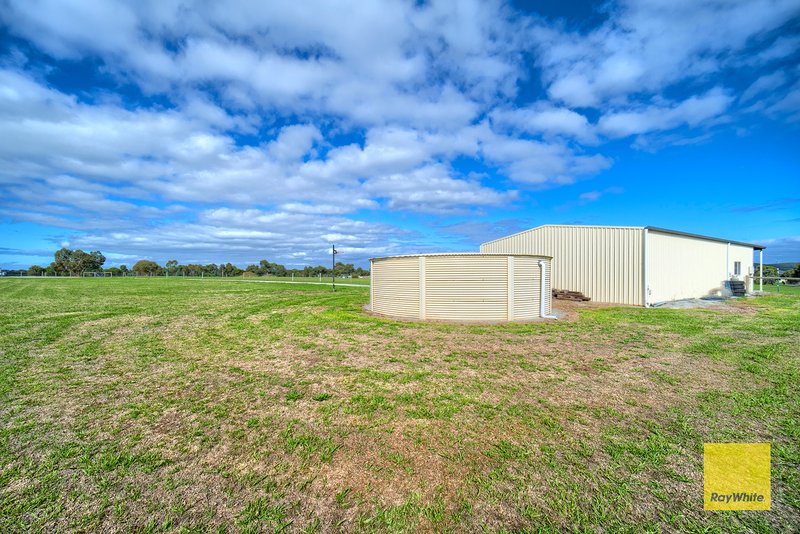 Photo - 56 Laithwood Circuit, Marbelup WA 6330 - Image 7