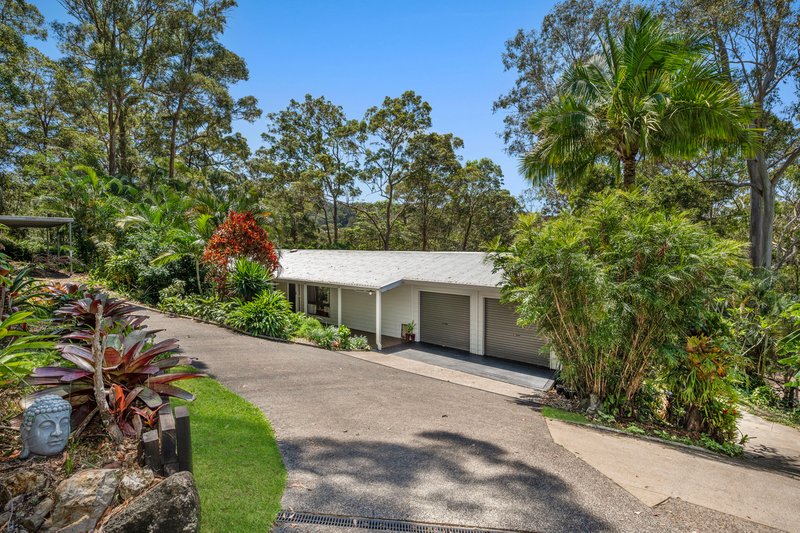 Photo - 56 Lara Drive, Buderim QLD 4556 - Image 14