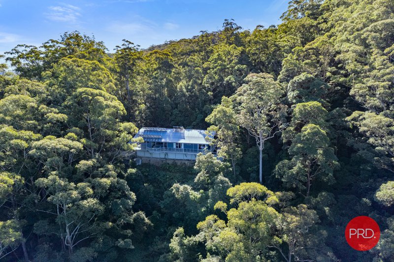 Photo - 56 Lovetts Road, Korora NSW 2450 - Image 20