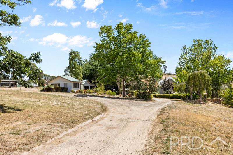 Photo - 56 Mines Road, Batlow NSW 2730 - Image 16