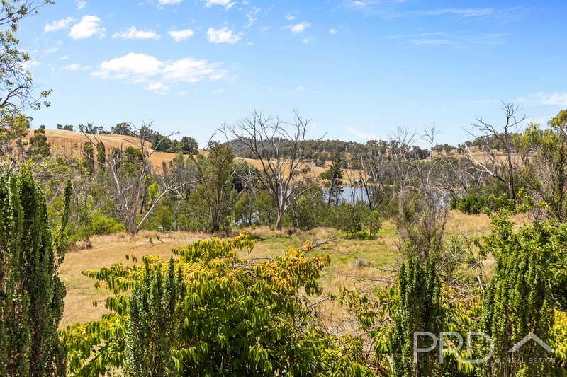 Photo - 56 Mines Road, Batlow NSW 2730 - Image 17