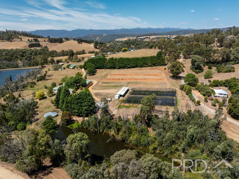 Photo - 56 Mines Road, Batlow NSW 2730 - Image 18