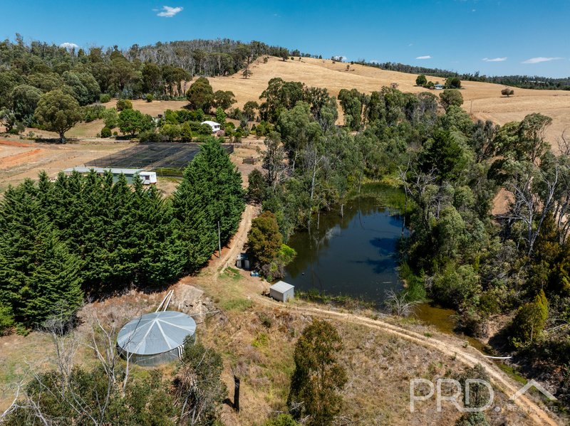 Photo - 56 Mines Road, Batlow NSW 2730 - Image 22