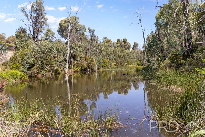 Photo - 56 Mines Road, Batlow NSW 2730 - Image 24