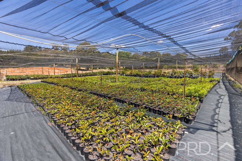 Photo - 56 Mines Road, Batlow NSW 2730 - Image 25
