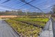 Photo - 56 Mines Road, Batlow NSW 2730 - Image 25