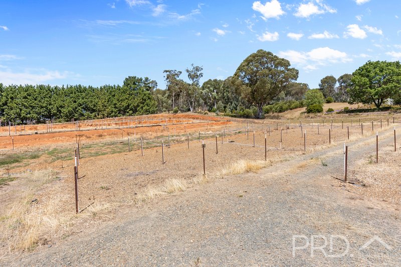 Photo - 56 Mines Road, Batlow NSW 2730 - Image 27