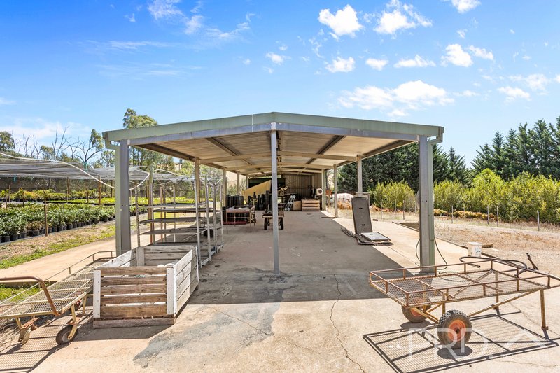 Photo - 56 Mines Road, Batlow NSW 2730 - Image 28