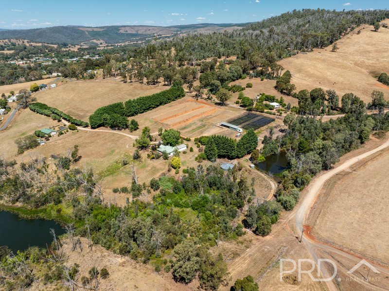 Photo - 56 Mines Road, Batlow NSW 2730 - Image 30