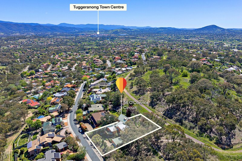 Photo - 56 O'Connor Circuit, Calwell ACT 2905 - Image 25